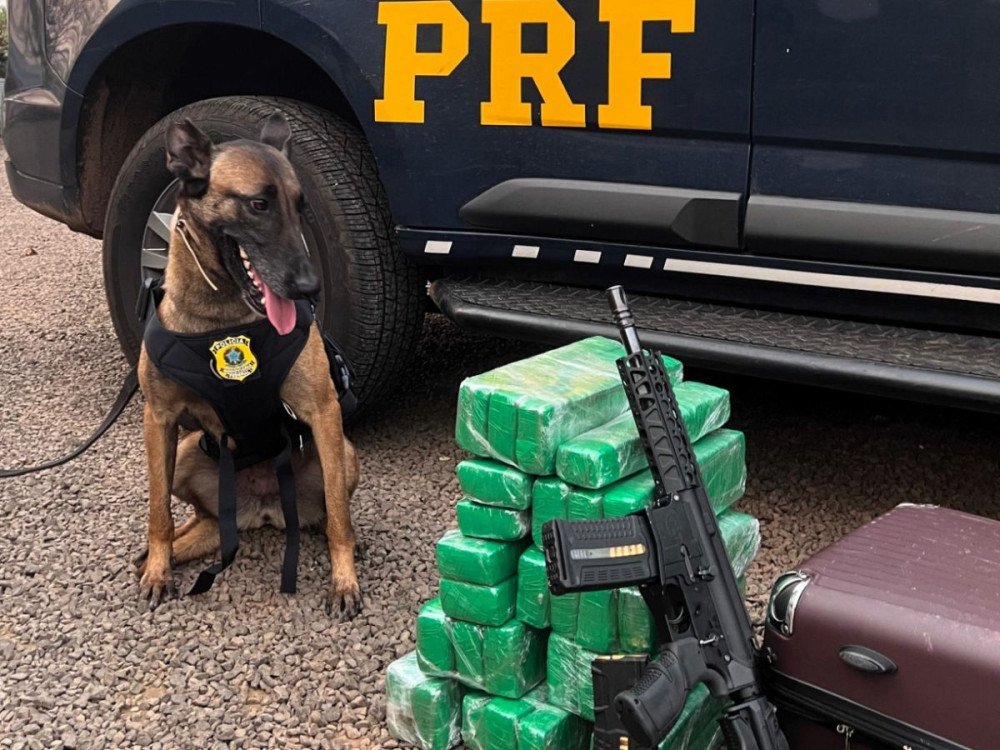 Menor de idade é encontrada com maconha, fuzil e munições em Chapecó
