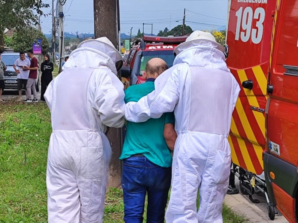 Idoso é socorrido após ser atacado por abelhas em Gaspar