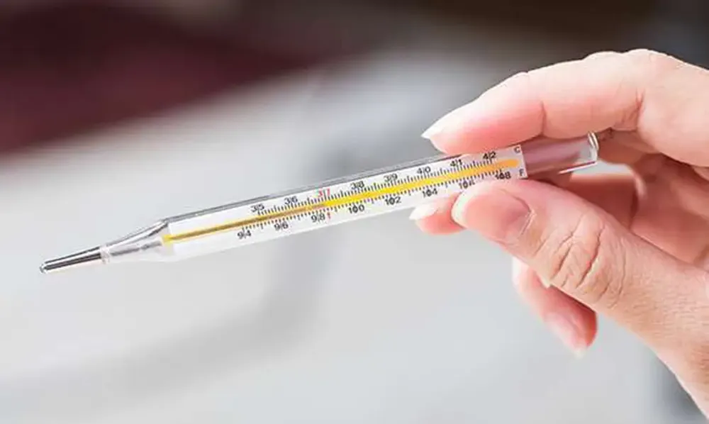 Foto: Divulgação/CRF-SP