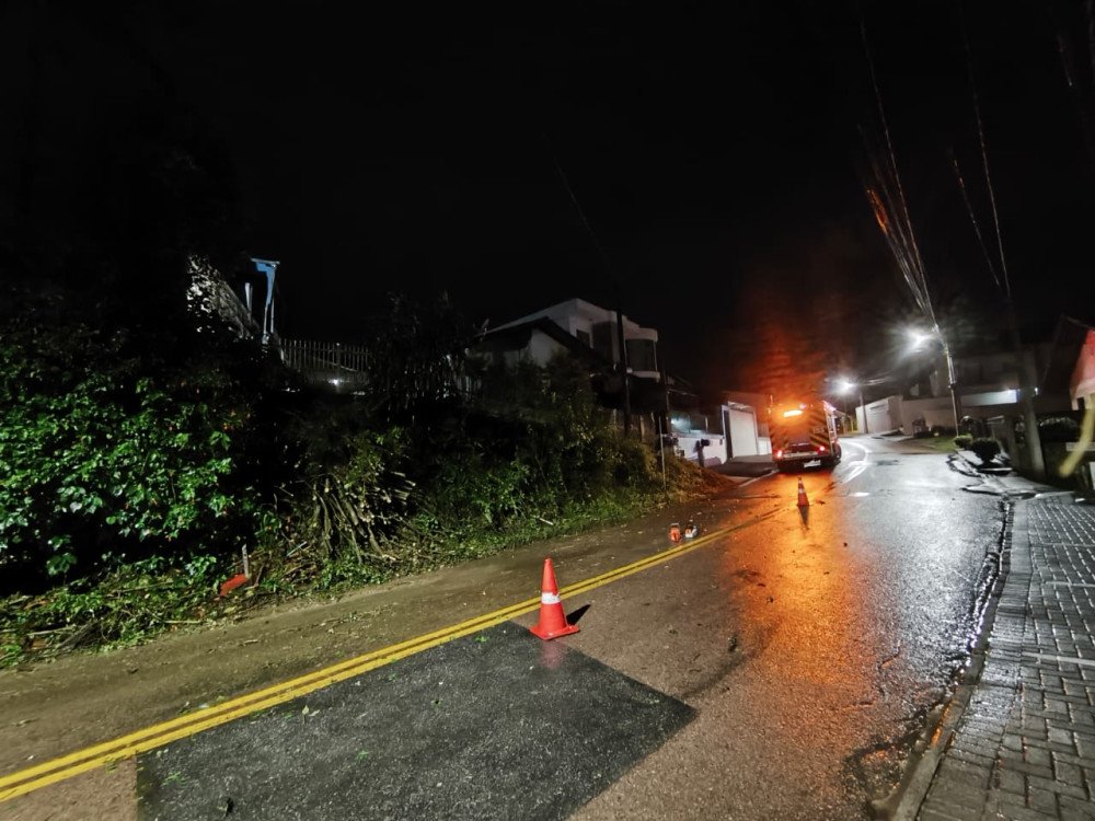 Fortes chuvas derrubam árvore e interditam parte de rua em Gaspar