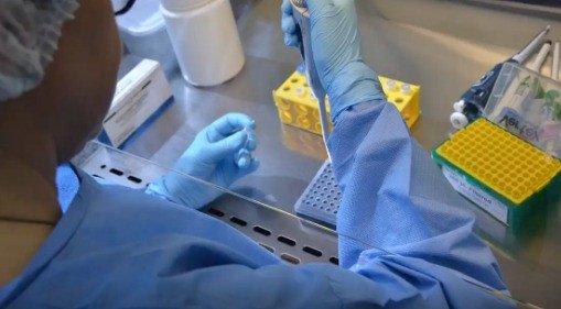 Nova variante da Covid-19 é identificada em três estados