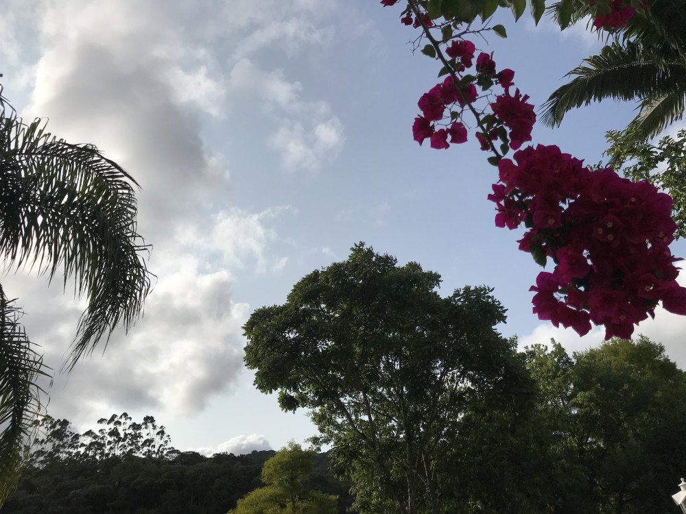 Blumenau terá sol entre nuvens ao longo desta terça-feira; confira a previsão