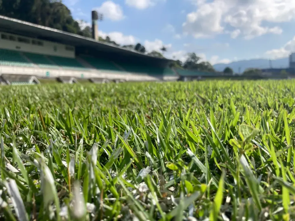 Emerson Luis. Esporte: Terceiros