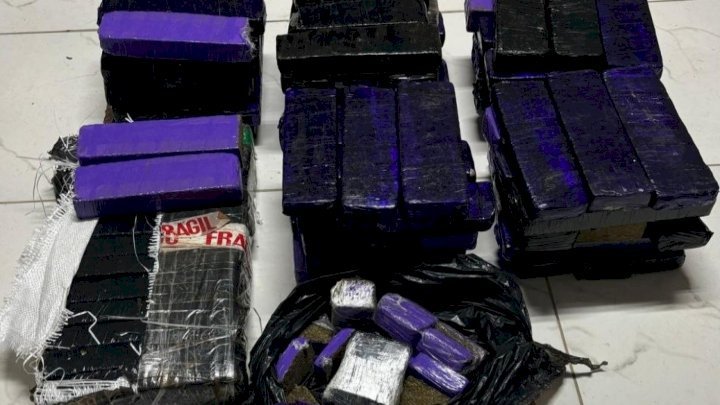 Mais de 60 kg de maconha são apreendidos em Balneário Camboriú