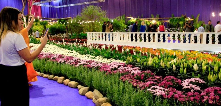 Tradicional Festa das Flores de Joinville ocorre até domingo; confira