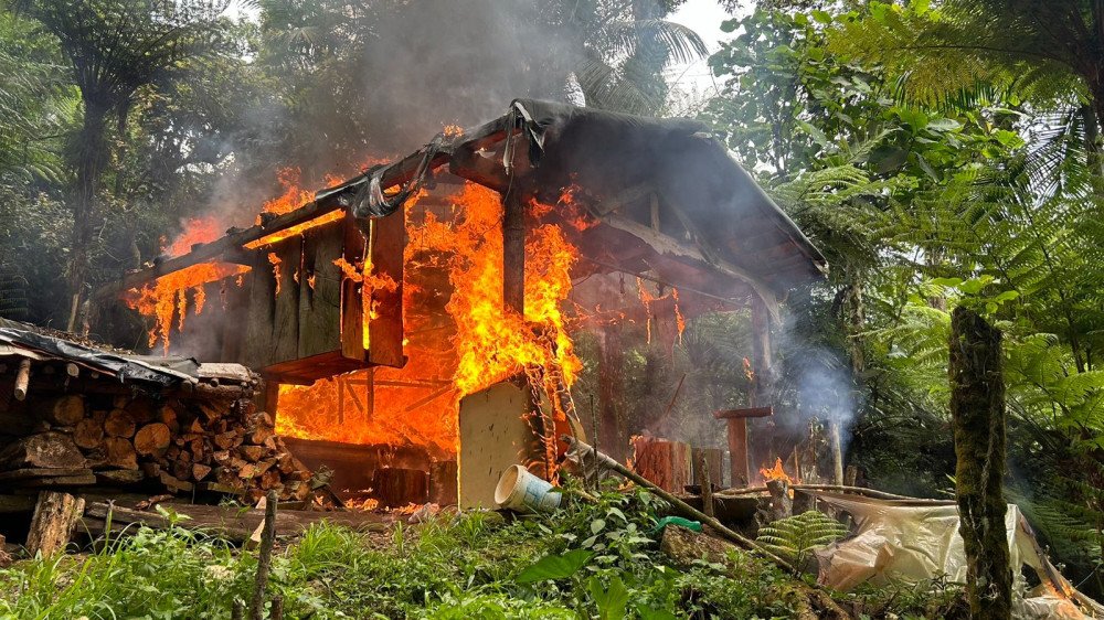 Polícia Ambiental e PF destroem ranchos de caça ilegais no Parque Nacional da Serra do Itajaí