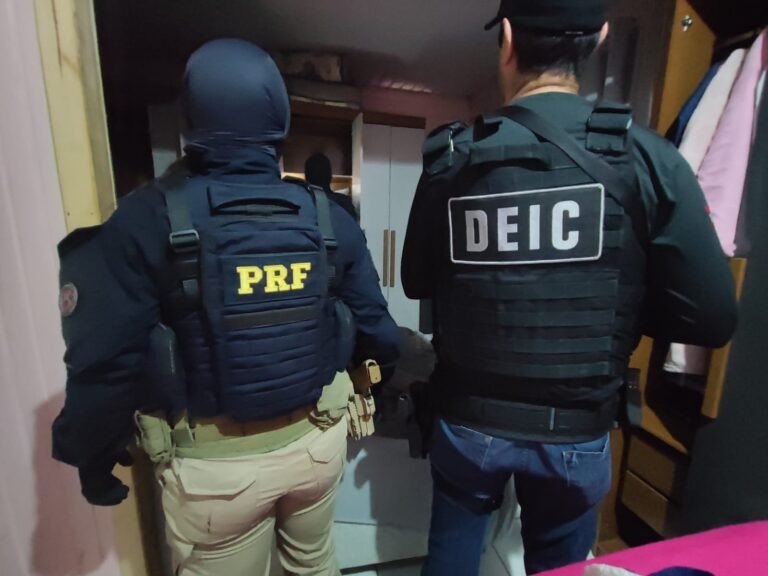 Operação conjunta combate organização criminosa especializada em furtos de caminhões em SC