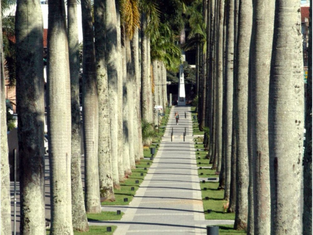 Trânsito na rua das Palmeiras será interrompido neste sábado devido a realização de corrida