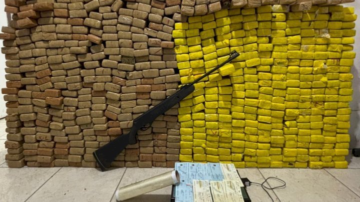 Quase 400 kg de maconha são apreendidos em operação conjunta em Palhoça