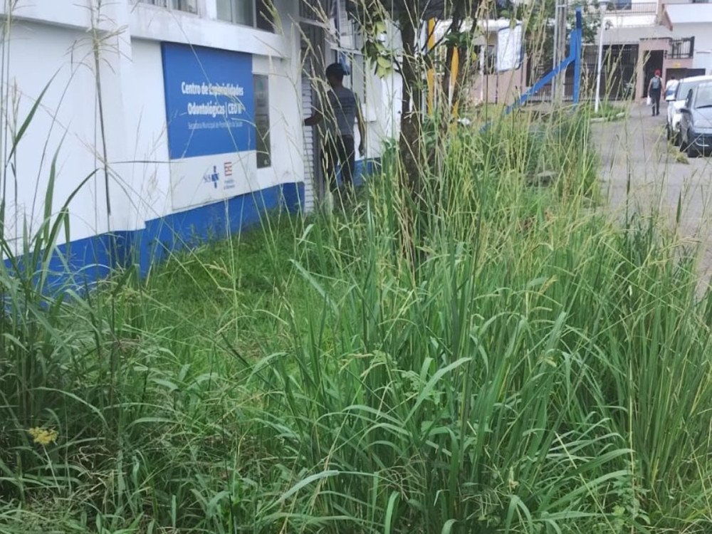 Moradores reclamam do matagal no entorno do AGF da Velha, em Blumenau