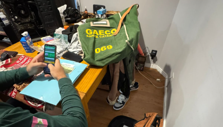 Gaeco realiza operação no Litoral Norte contra corrupção e crimes ambientais