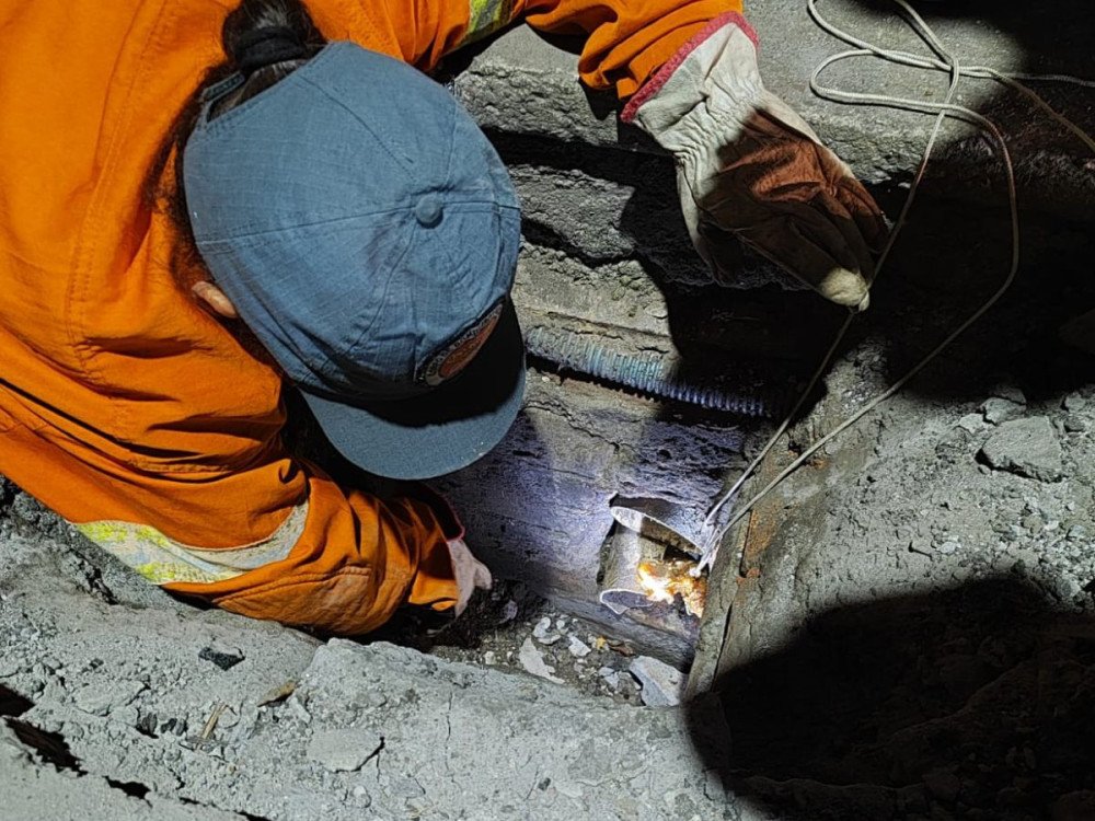 Filhote de gato é resgatado de bueiro em Gaspar após ficar preso por três dias