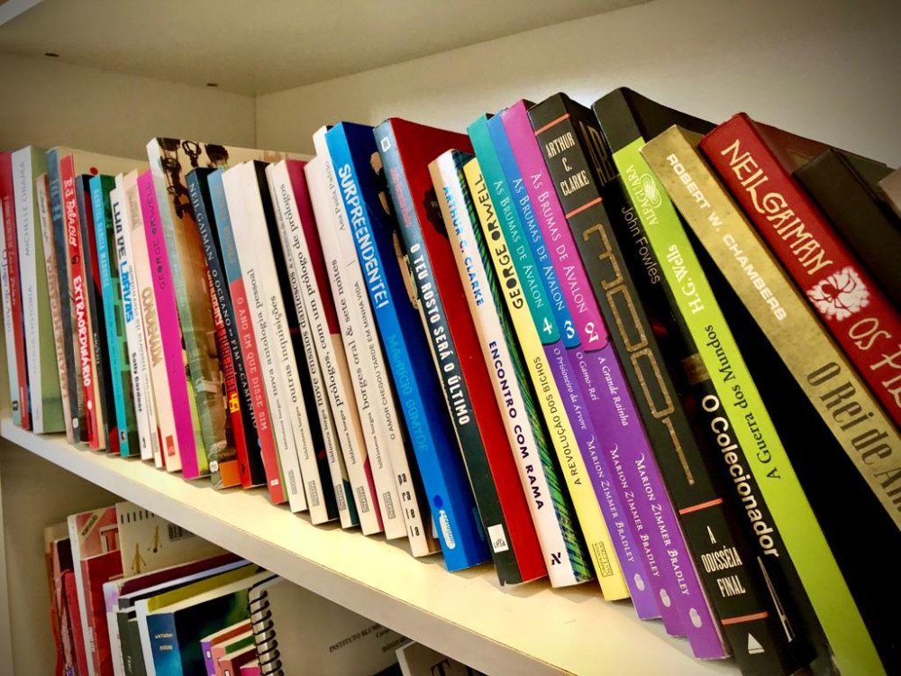 Pesquisa aponta que SC é o estado que mais lê no país