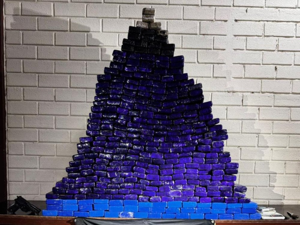 PM apreende 238 kg de maconha em casa no bairro Fortaleza Alta, em Blumenau