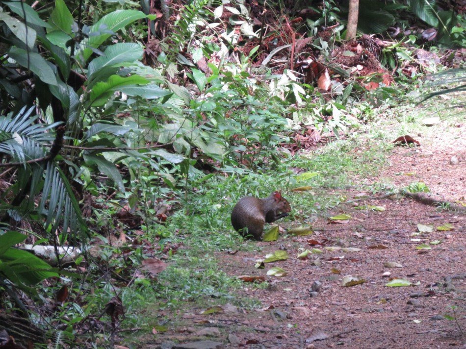 Exposição Fritz Müller e Parque São Francisco estarão com horários diferentes a partir da próxima semana; confira