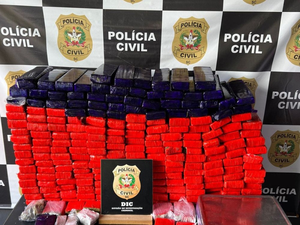 Foto: Polícia Civil/ Divulgação