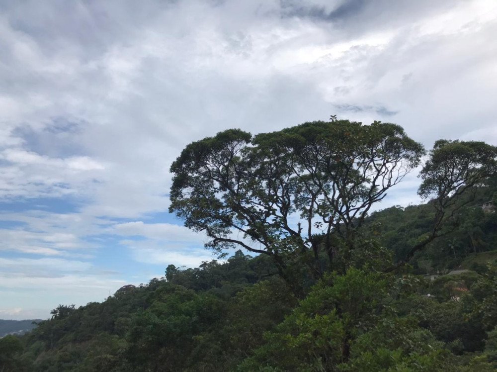 Temperaturas sobem nesta sexta em Blumenau, mas há possibilidade de chuva fraca