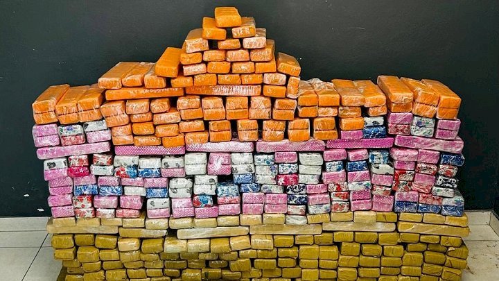 Homem é preso com mais de 360 kg de maconha em Florianópolis