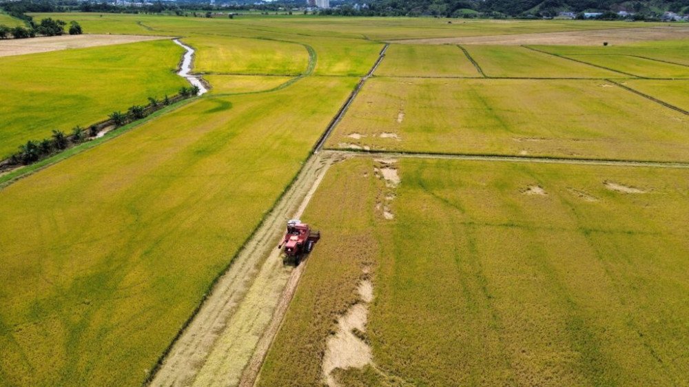 Foto: Prefeitura de Gaspar/Divulgação