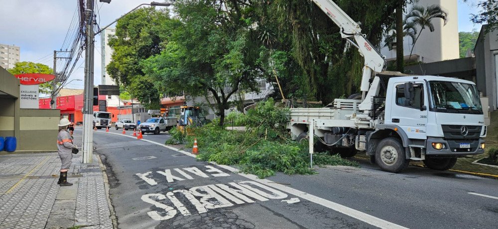 Foto: Celesc/Divulgação