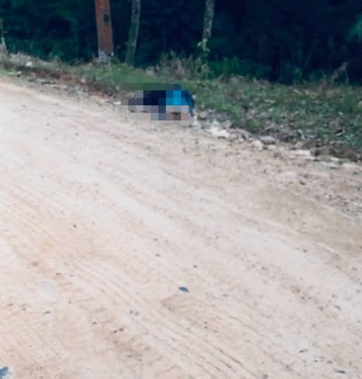 Corpo de homem encontrado em Luiz Alves com marcas de tiros