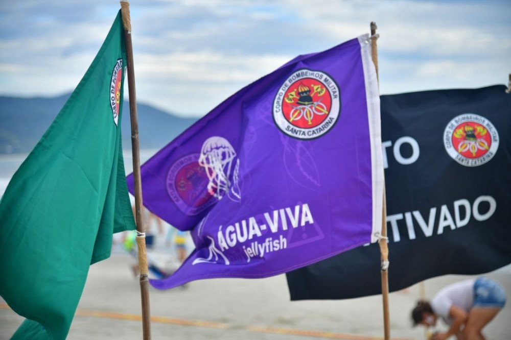 Bombeiros registram mais de 2 mil ocorrências com água-viva em sete dias no litoral catarinense