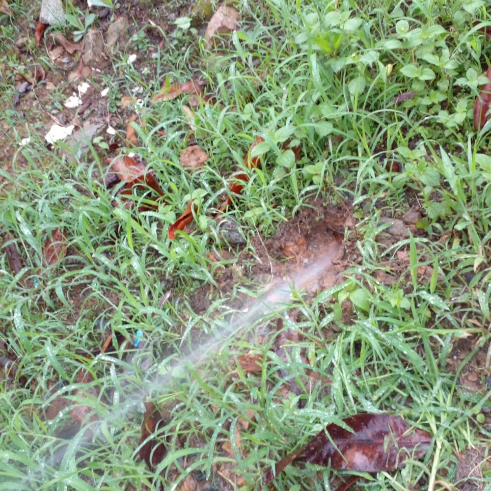 Vídeo: Vazamento de água afeta moradores da Rua Guarapuava, no bairro Testo Salto, em Blumenau