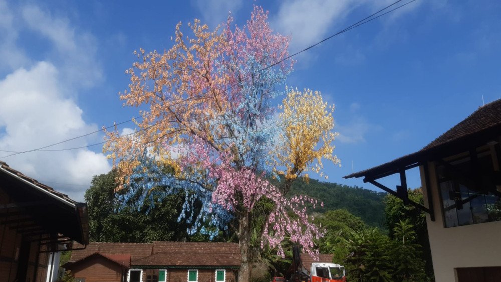 Campanha de arrecadação de casquinhas de ovos para a 17ª Osterfest de Pomerode continua; veja como ajudar