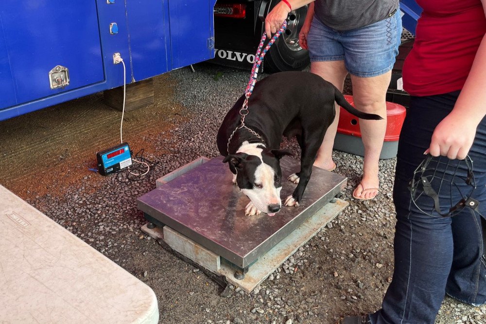 Foto: Prefeitura de Indaial/Divulgação 