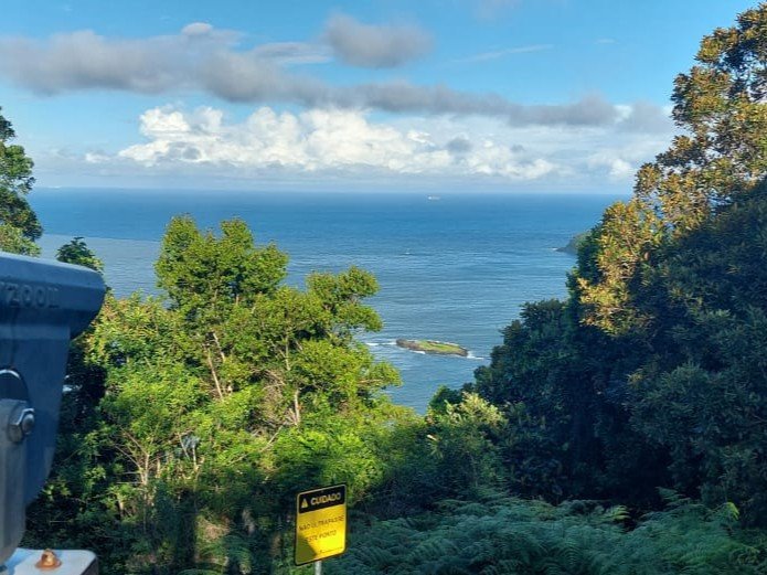 Após deslizamentos, Parque do Atalaia volta a receber visitantes em Itajaí