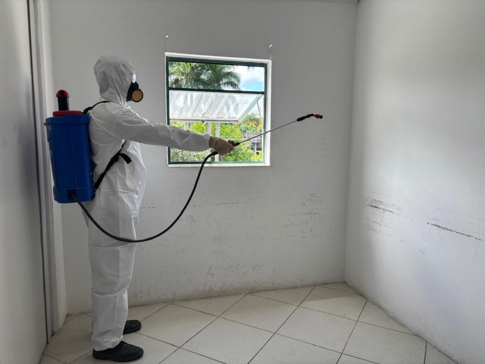 Blumenau adota nova estratégia de combate à dengue com borrifação nas paredes; entenda