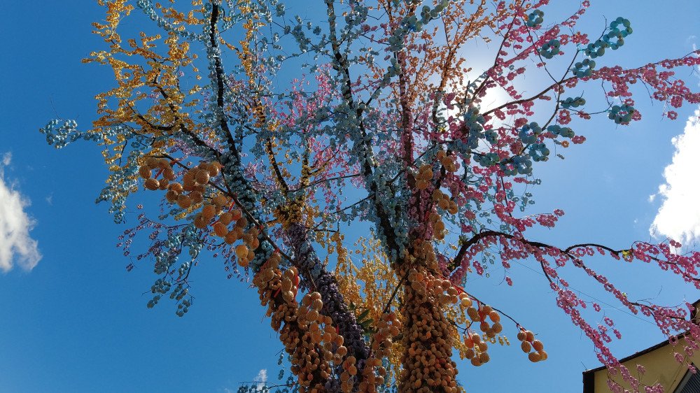 Foto: Maurício Cattani/ Portal Alexandre José
