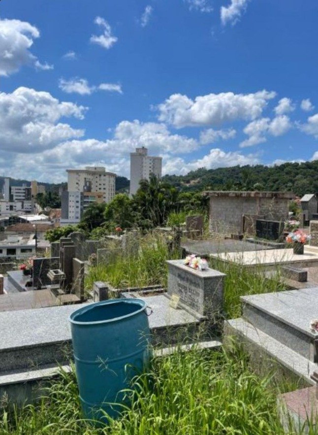 FOTOS: Moradores de Blumenau cobram manutenção no cemitério municipal da Rua João Pessoa