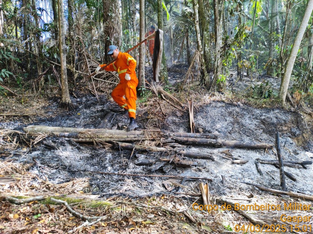 Queima de lixo em Gaspar mobiliza Corpo de Bombeiros