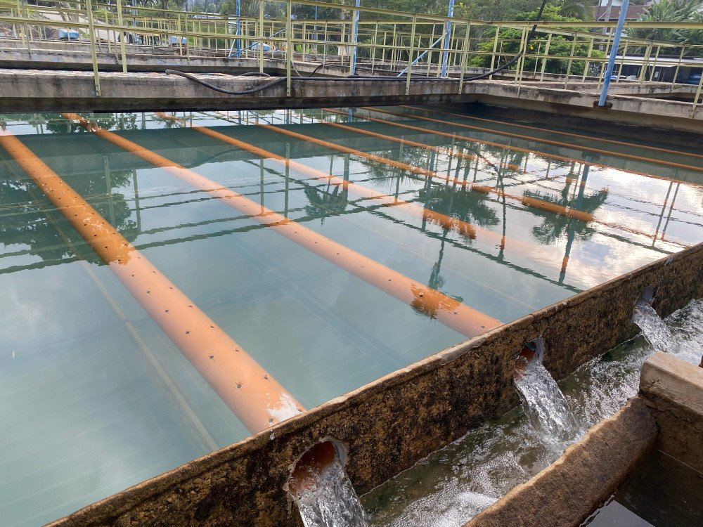 Foto: Samae/Divulgação