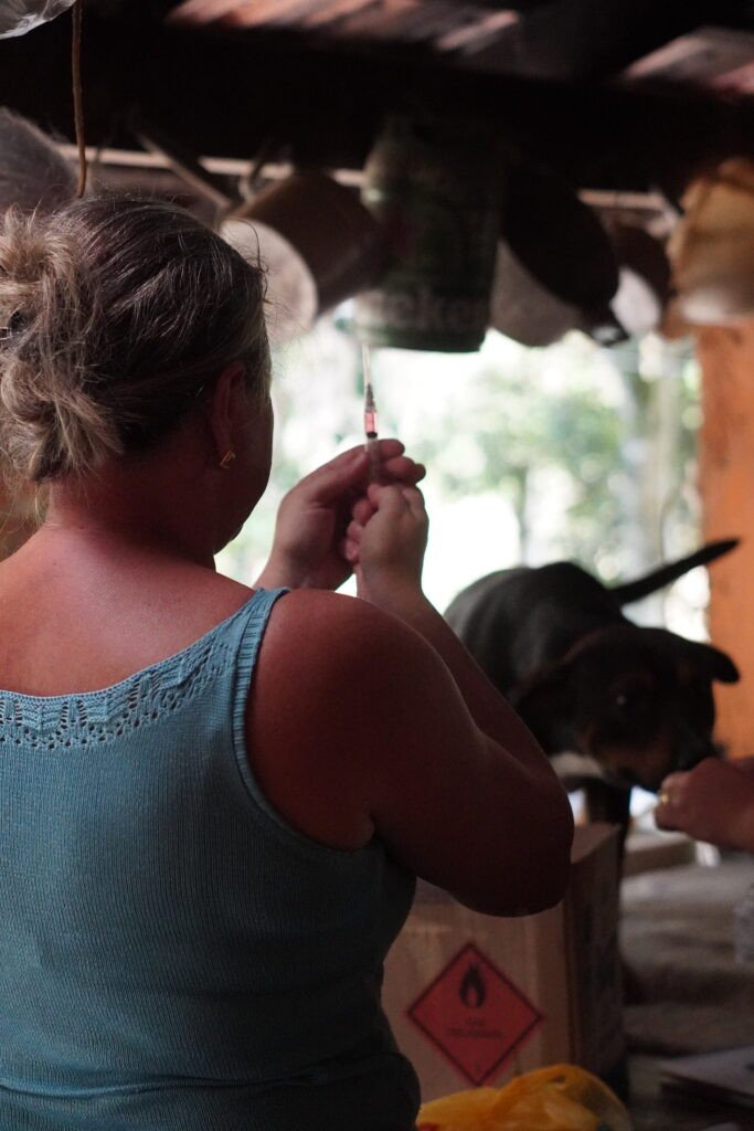 Mais de 100 cães abrigados são vacinados em ação da Diretoria de Bem-Estar Animal em Gaspar