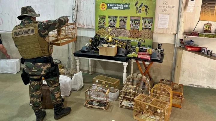 Pássaros silvestres são soltos na natureza pela Polícia Militar e Cidasc