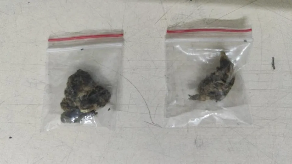 Após denúncias, polícia monitora rua no bairro Fortaleza, em Blumenau, e uma pessoa é presa por tráfico