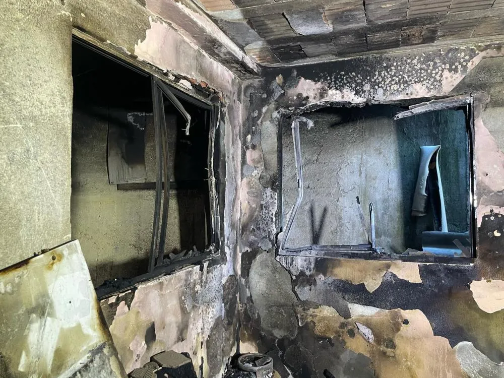 Gato é salvo por bombeiros de casa em chamas em Blumenau, mas quatro pássaros morrem por conta da fumaça