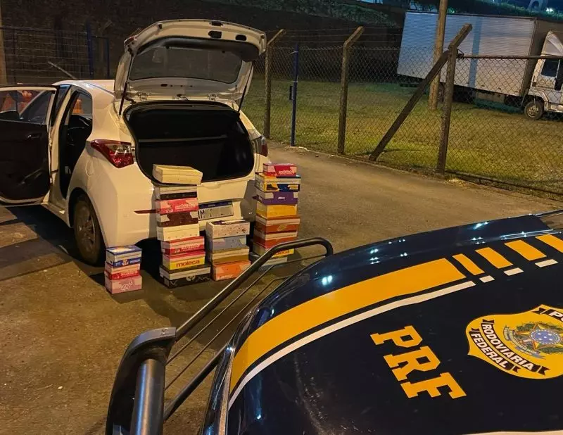 Justiça condena dupla por transportar aves silvestres em caixas de sapato na BR-470, em Blumenau