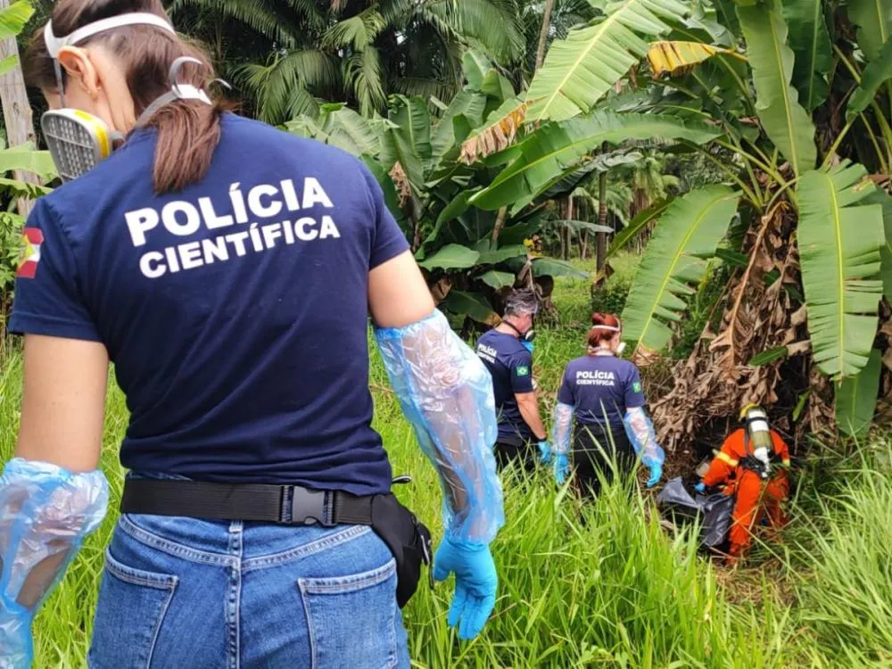 Corpo em decomposição é encontrado em mata às margens da BR-470, em Gaspar