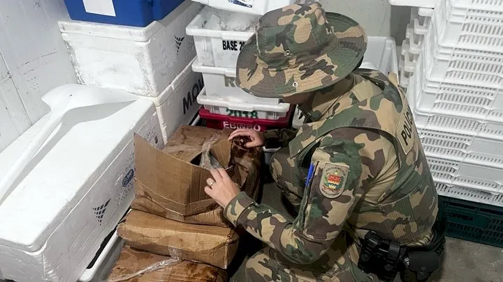 Operação apreende mais de meia tonelada de pescado irregular no litoral norte catarinense