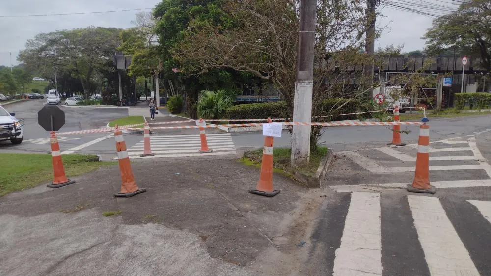 Área é isolada após surgimento de enxame de abelhas no bairro Itoupava Norte, em Blumenau