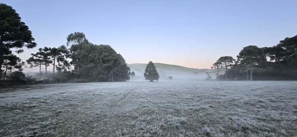Cidades de SC amanhecem com geada e temperaturas abaixo de zero; veja 