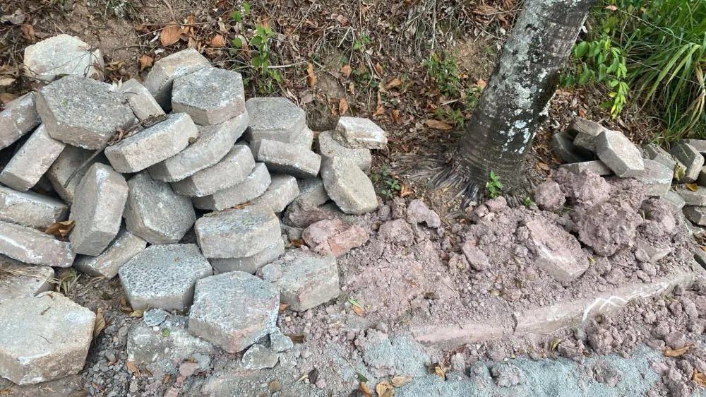 Moradores cobram ação do Samae após vazamento não resolvido há quase 20 dias no bairro Tribess