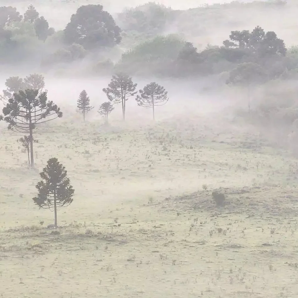 Frio intenso avança em SC e Defesa Civil mantém alerta para neve e geada a partir de quinta-feira