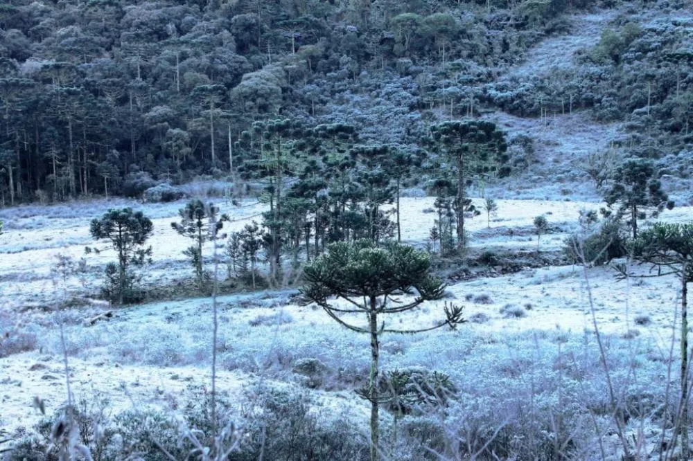 Sul do Brasil pode registrar primeira queda de neve do ano nesta noite ou madrugada