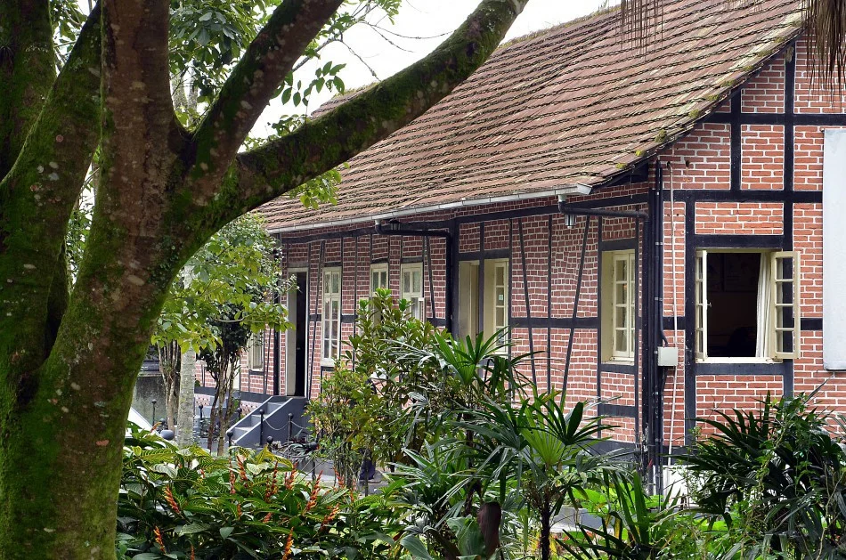 Com mais de 150 atividades, Blumenau inicia Campanha Junho Verde nesta quinta