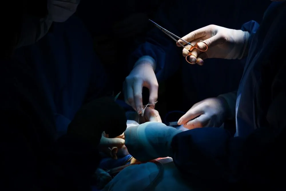 Foto: Leo Munhoz/Secom GOVSC