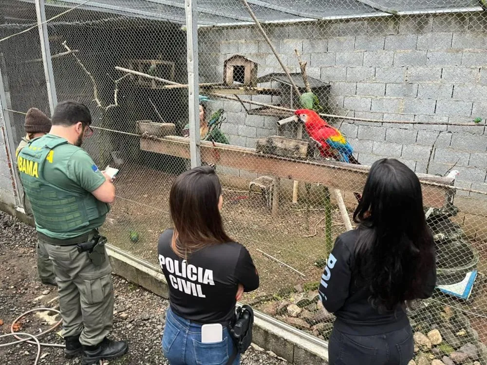 Operação da Polícia Civil apreende animais silvestres em cativeiro no Vale do Itajaí